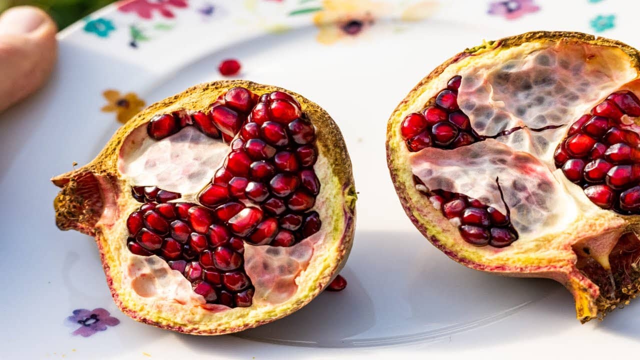 Neue Winterharte Sorten Für 2024 – Punica Granatum – Www.gartenschlau.com