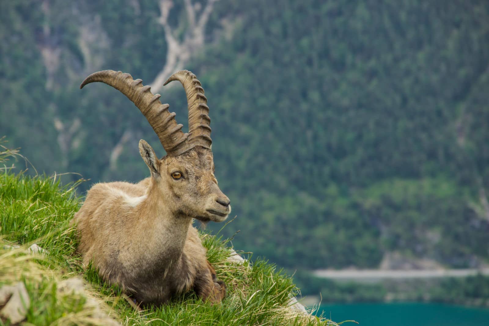 Alpen